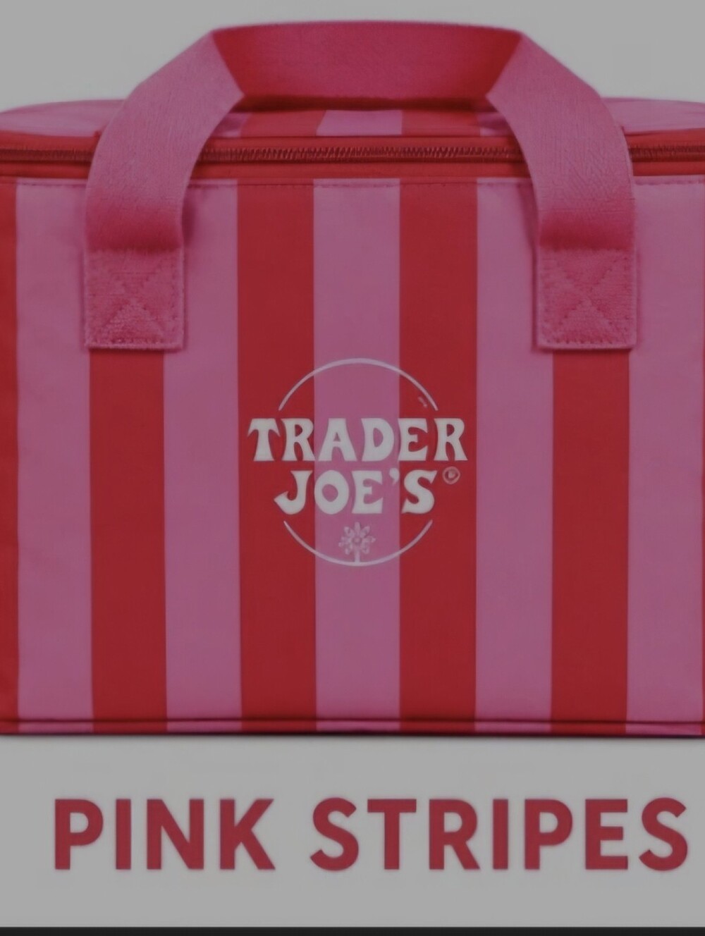 Trader Joe's Pink Striped Travel/lunchTote